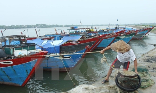 Các tỉnh miền Trung tập trung ứng phó với áp thấp và mưa lũ